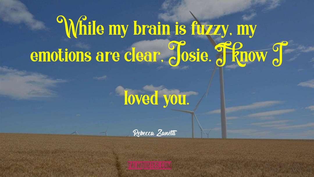 Rebecca Zanetti Quotes: While my brain is fuzzy,