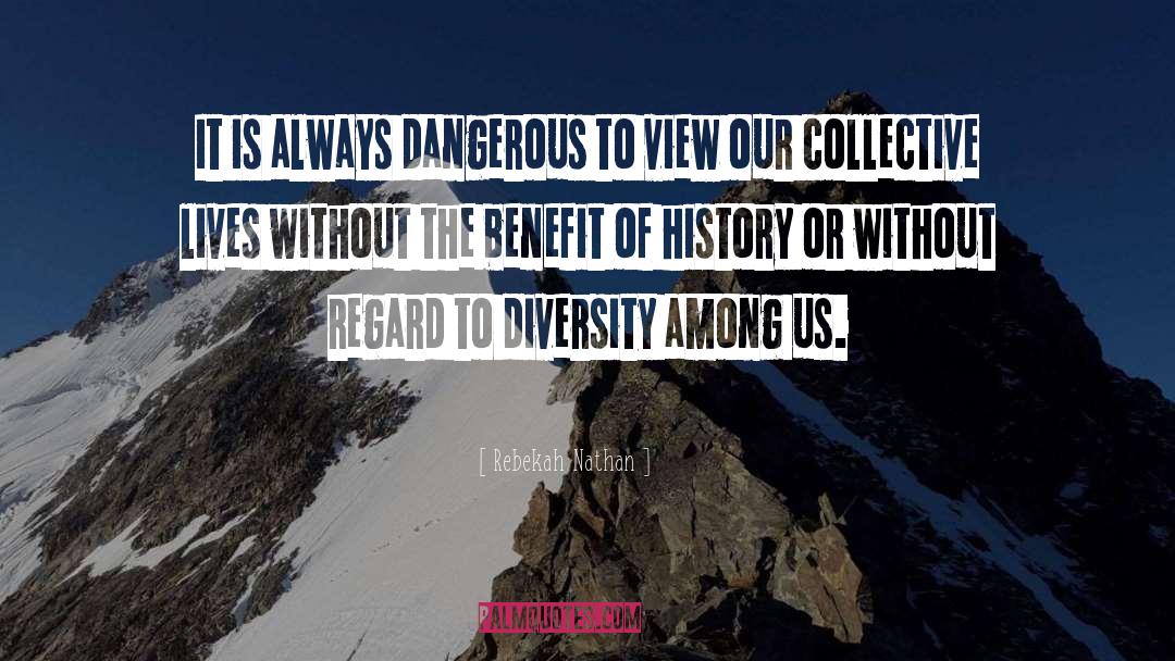 Rebekah Nathan Quotes: It is always dangerous to