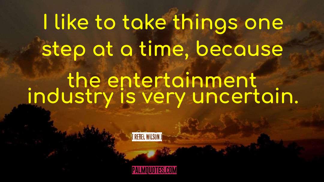 Rebel Wilson Quotes: I like to take things