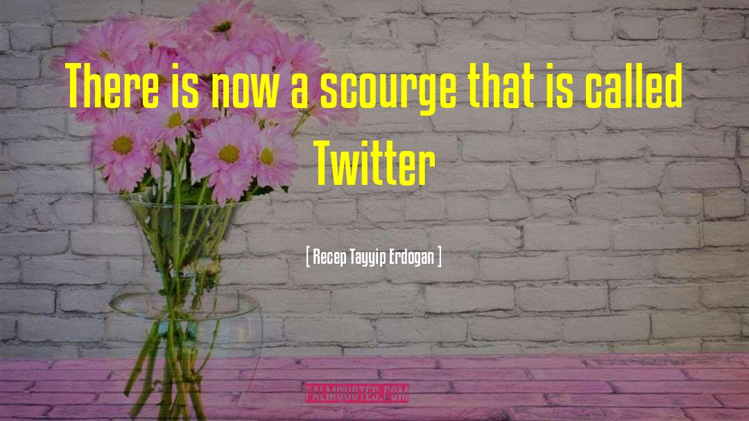 Recep Tayyip Erdogan Quotes: There is now a scourge