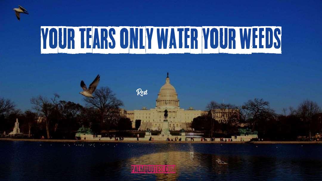 Red Quotes: Your tears only water your