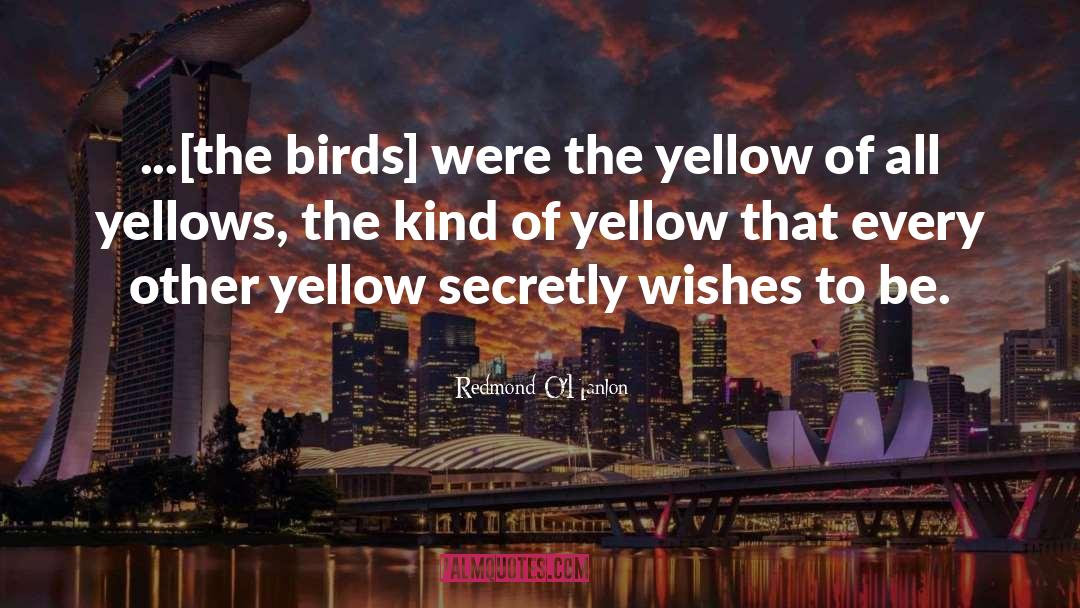 Redmond O'Hanlon Quotes: ...[the birds] were the yellow