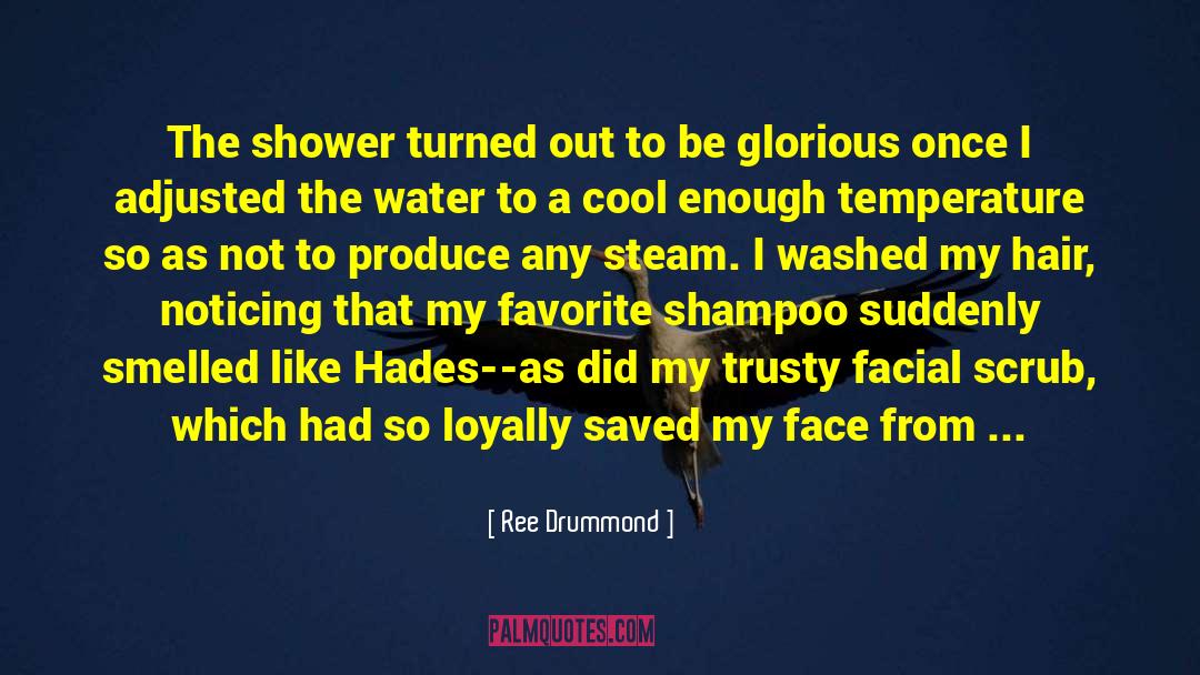 Ree Drummond Quotes: The shower turned out to