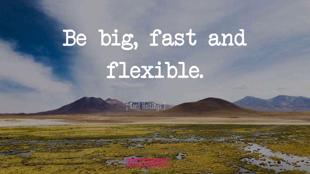 Reed Hastings Quotes: Be big, fast and flexible.