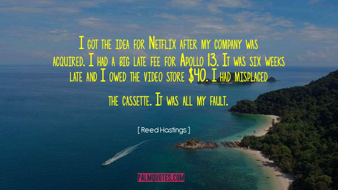 Reed Hastings Quotes: I got the idea for