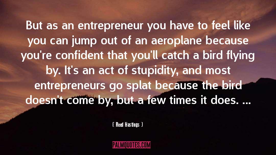 Reed Hastings Quotes: But as an entrepreneur you