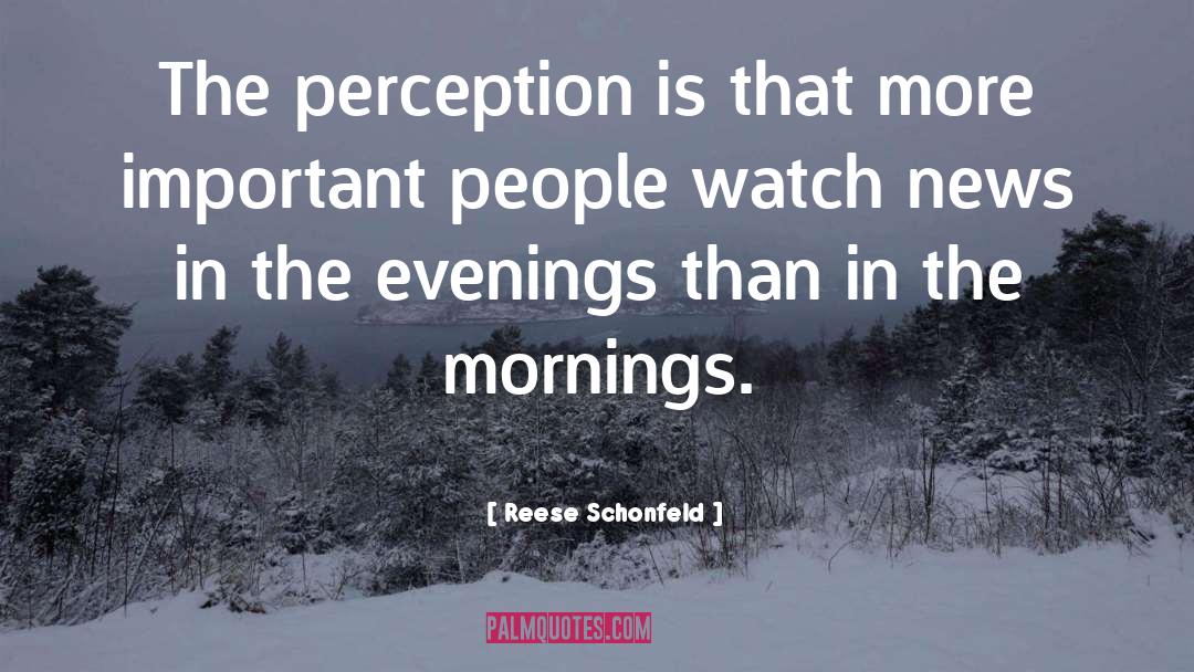 Reese Schonfeld Quotes: The perception is that more
