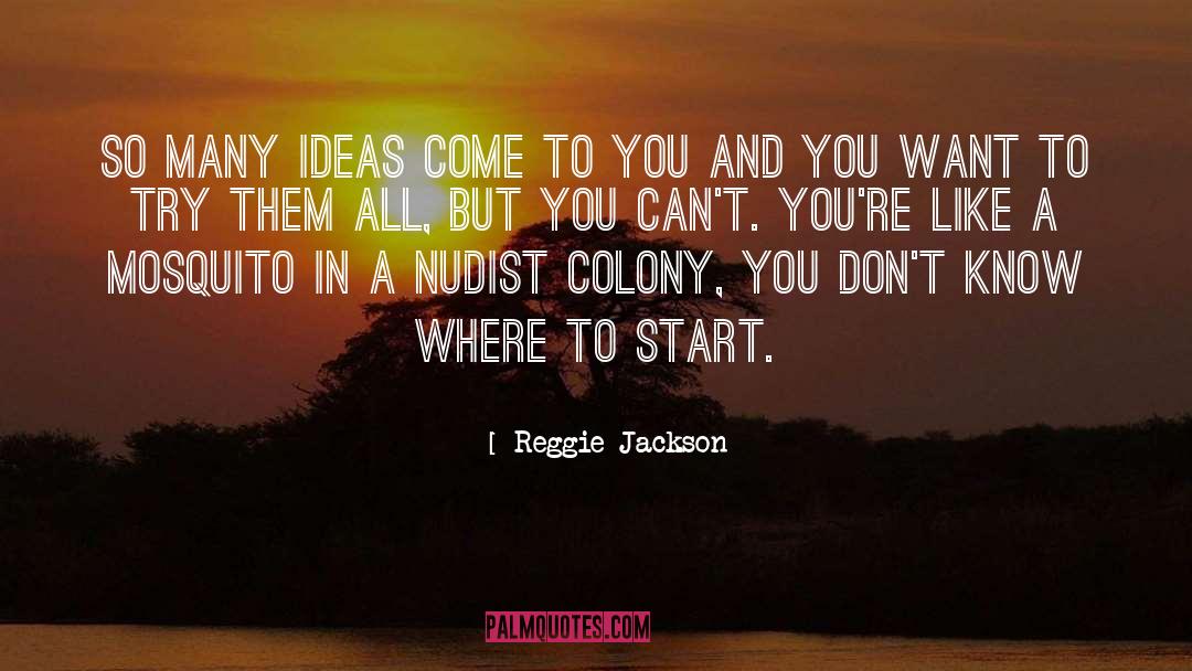 Reggie Jackson Quotes: So many ideas come to