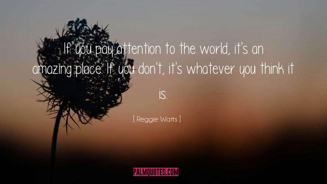 Reggie Watts Quotes: If you pay attention to