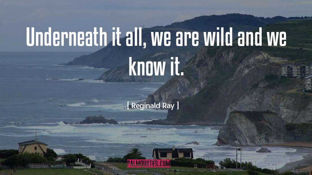 Reginald Ray Quotes: Underneath it all, we are