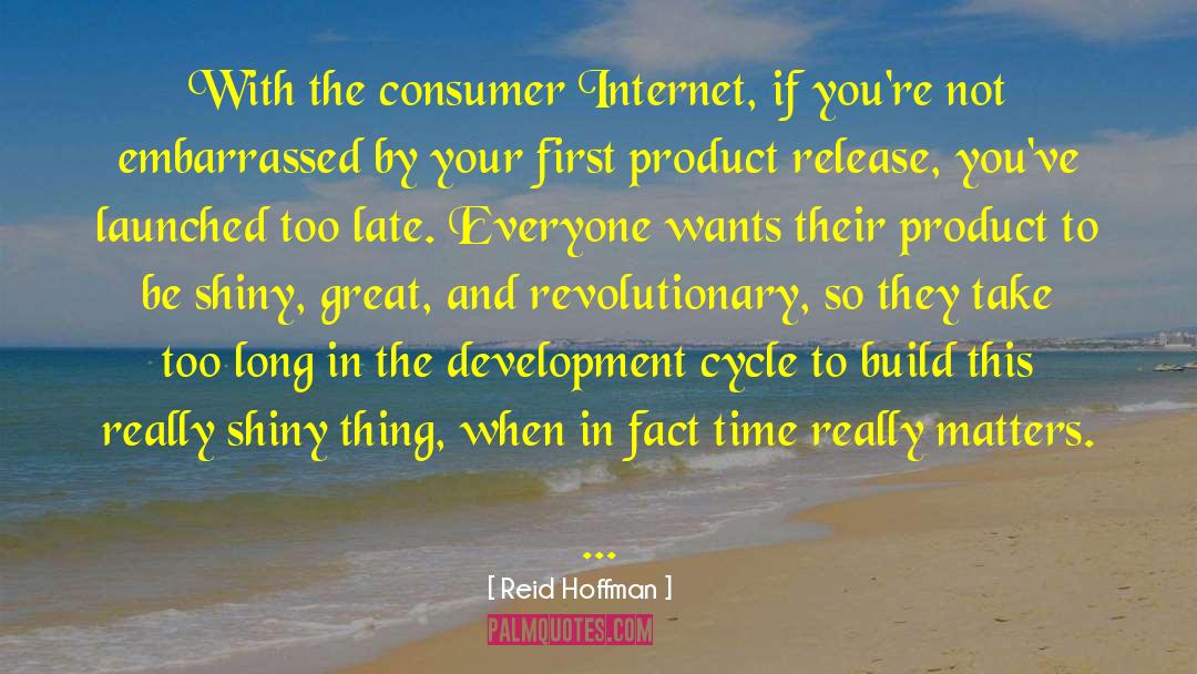 Reid Hoffman Quotes: With the consumer Internet, if