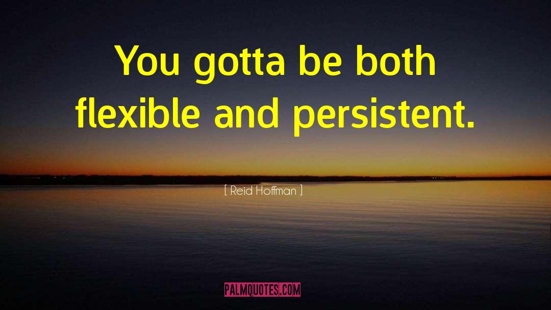 Reid Hoffman Quotes: You gotta be both flexible