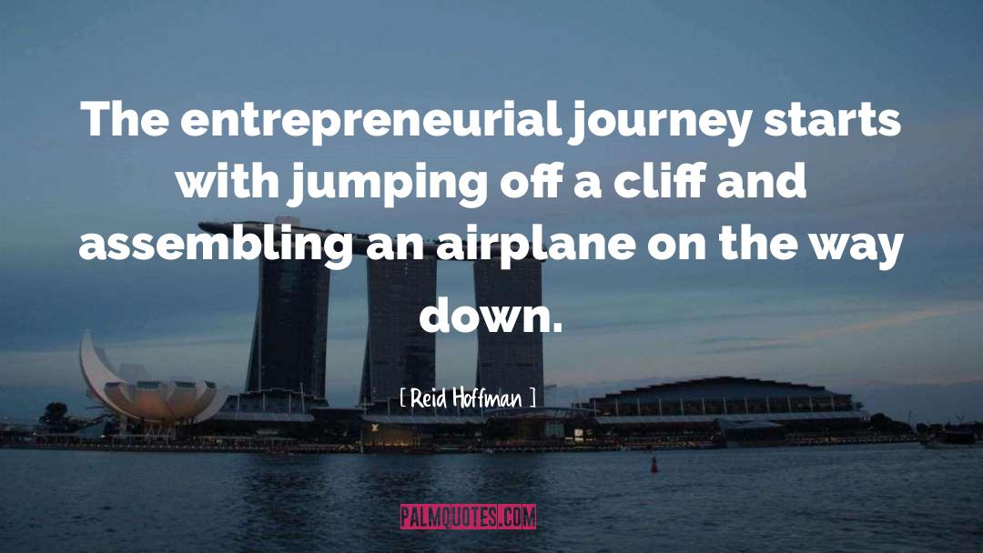Reid Hoffman Quotes: The entrepreneurial journey starts with
