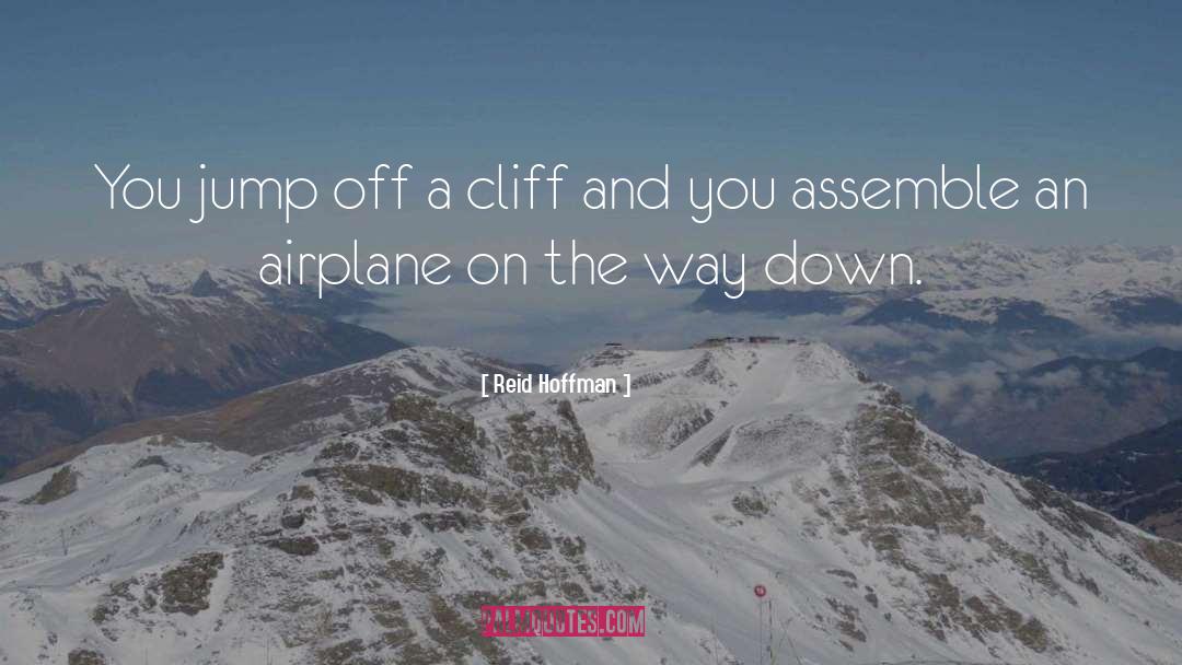 Reid Hoffman Quotes: You jump off a cliff