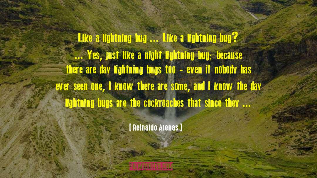 Reinaldo Arenas Quotes: Like a lightning bug ...