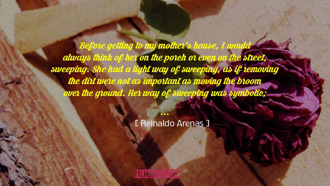 Reinaldo Arenas Quotes: Before getting to my mother's