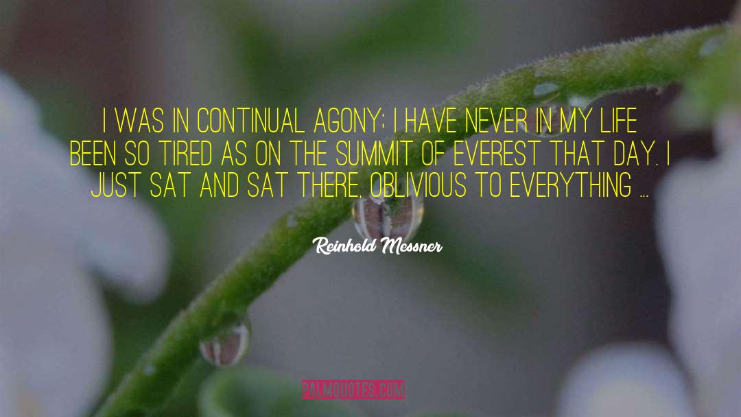Reinhold Messner Quotes: I was in continual agony;