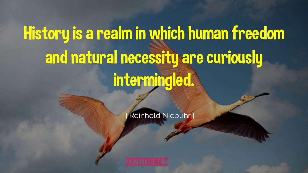 Reinhold Niebuhr Quotes: History is a realm in