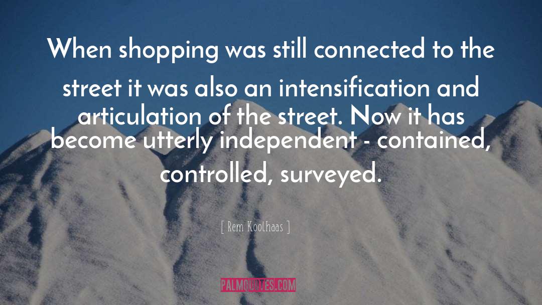 Rem Koolhaas Quotes: When shopping was still connected