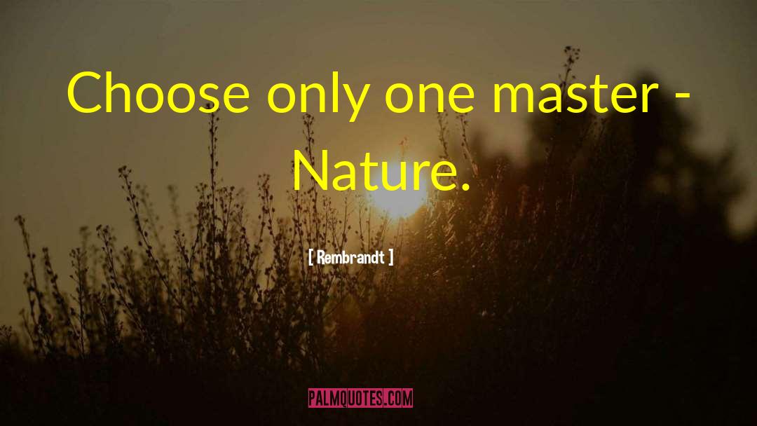 Rembrandt Quotes: Choose only one master -