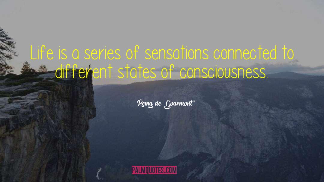 Remy De Gourmont Quotes: Life is a series of