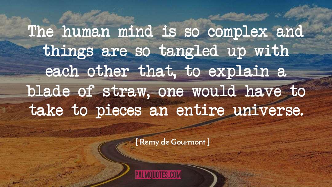 Remy De Gourmont Quotes: The human mind is so