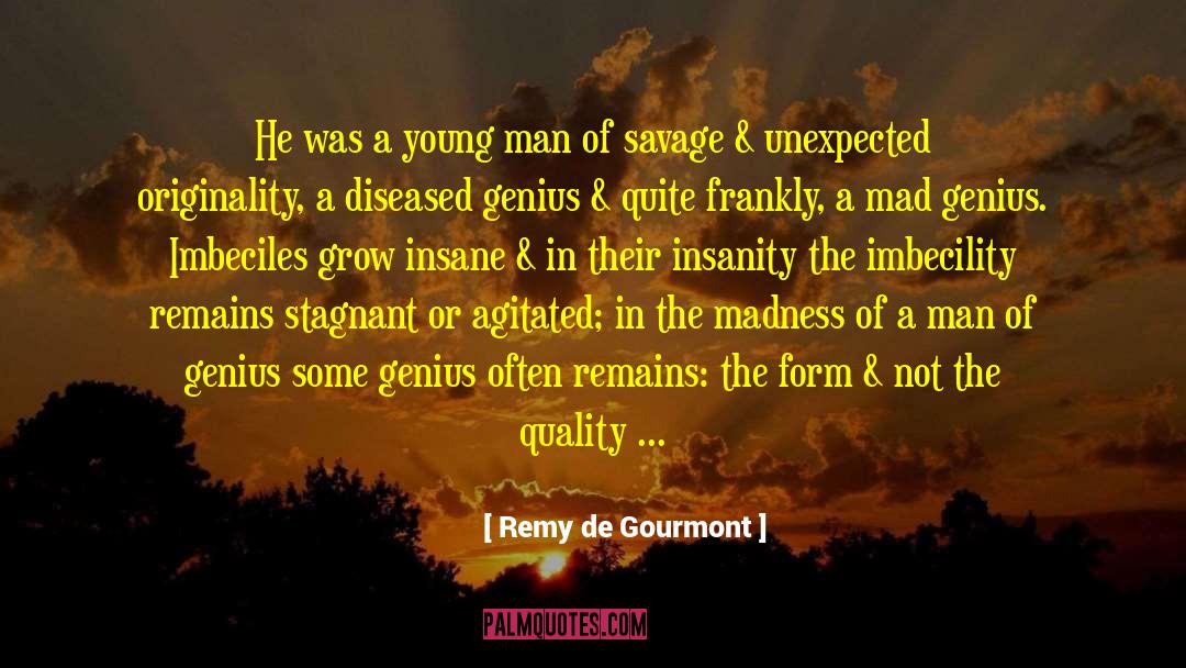 Remy De Gourmont Quotes: He was a young man