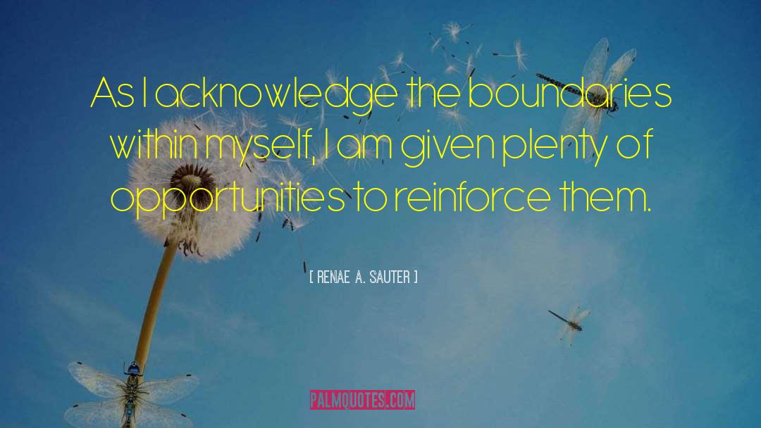 Renae A. Sauter Quotes: As I acknowledge the boundaries