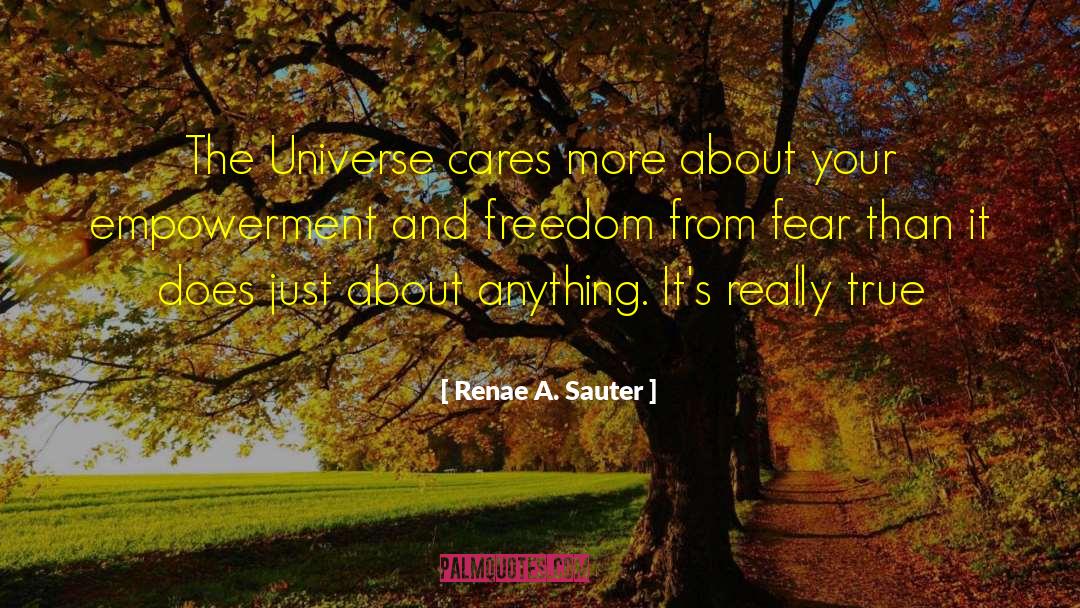 Renae A. Sauter Quotes: The Universe cares more about