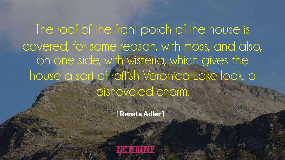 Renata Adler Quotes: The roof of the front