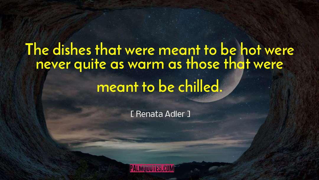 Renata Adler Quotes: The dishes that were meant