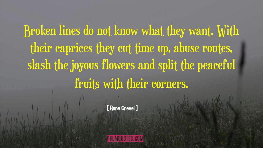 Rene Crevel Quotes: Broken lines do not know