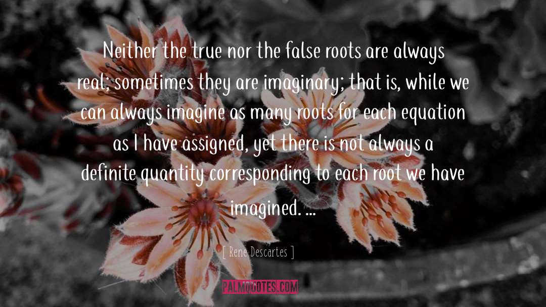 Rene Descartes Quotes: Neither the true nor the