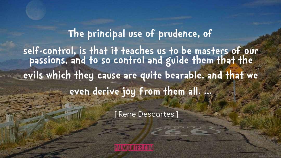 Rene Descartes Quotes: The principal use of prudence,