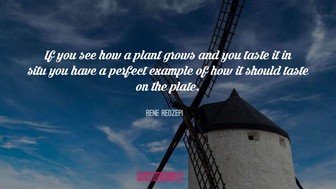 Rene Redzepi Quotes: If you see how a