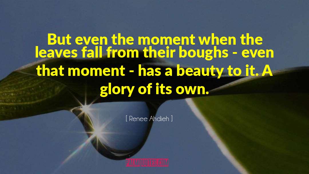Renee Ahdieh Quotes: But even the moment when
