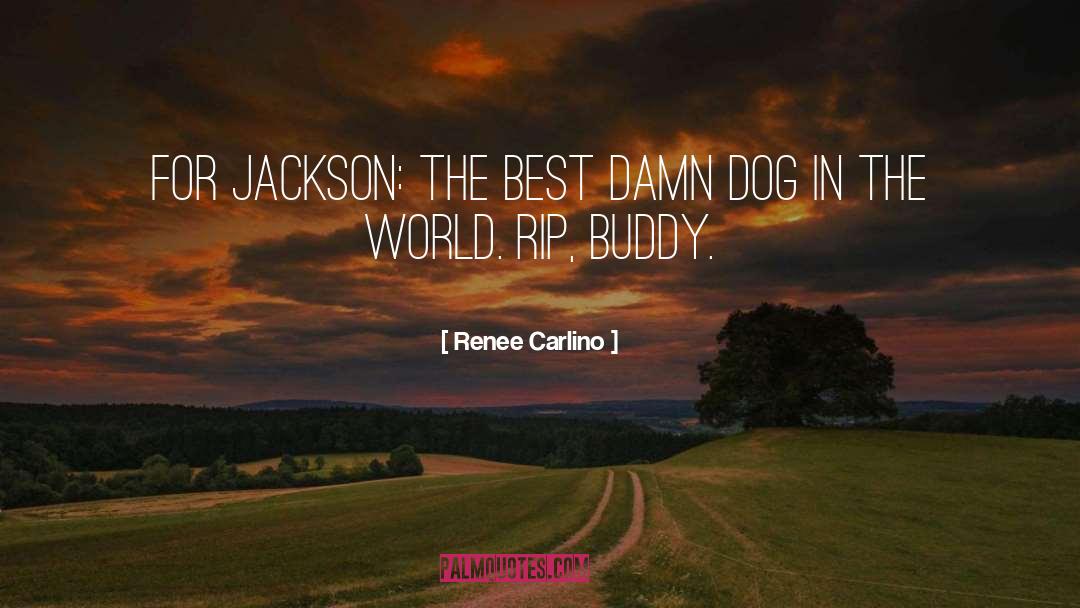 Renee Carlino Quotes: For Jackson: The best damn