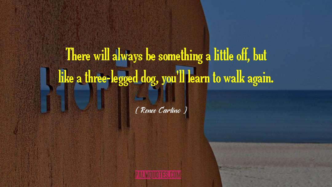 Renee Carlino Quotes: There will always be something