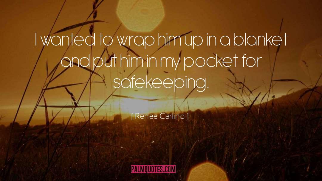 Renee Carlino Quotes: I wanted to wrap him