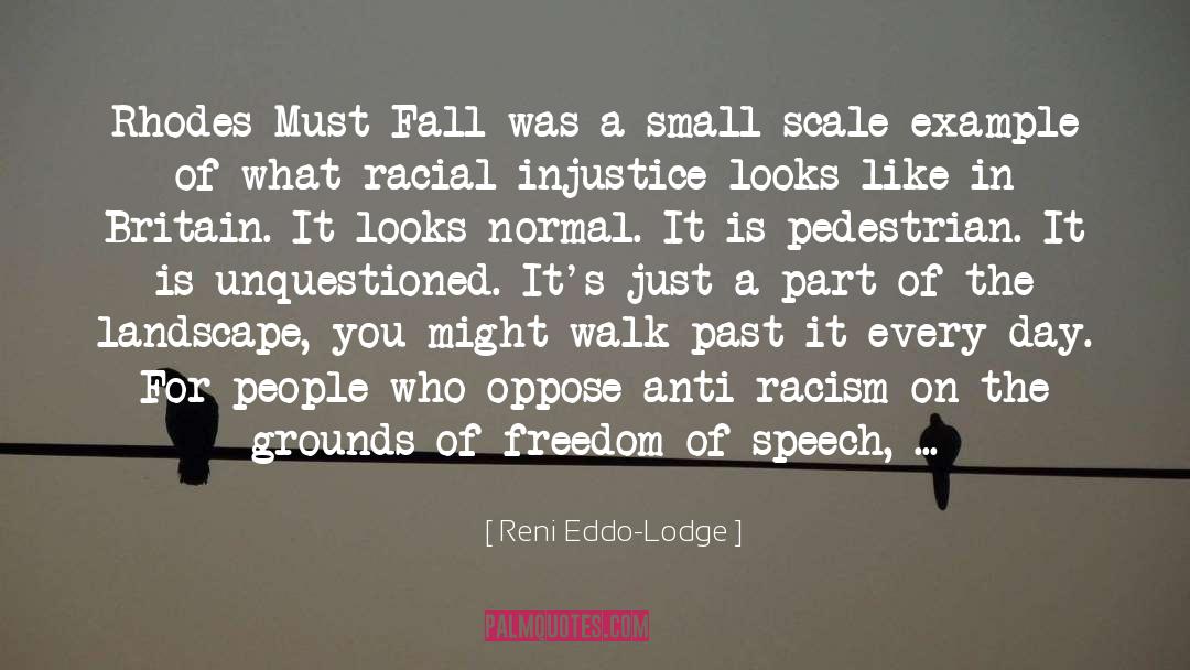 Reni Eddo-Lodge Quotes: Rhodes Must Fall was a