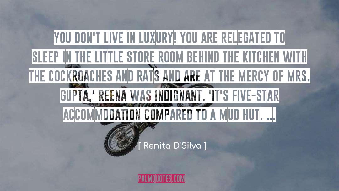 Renita D'Silva Quotes: You don't live in luxury!