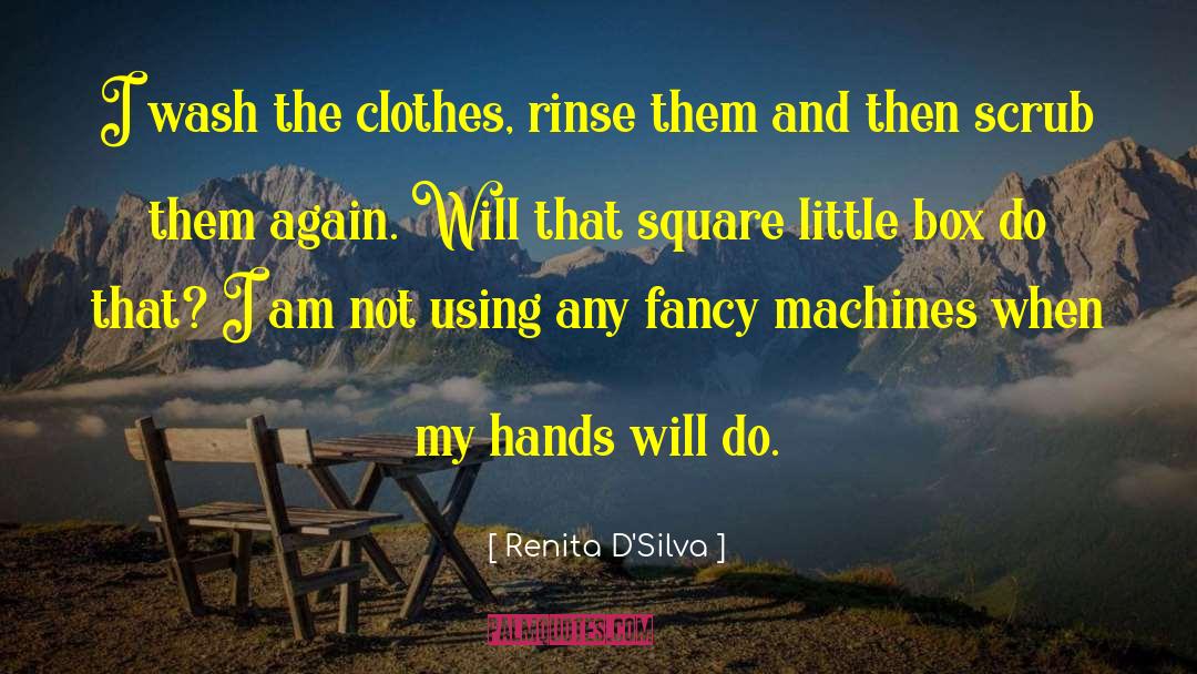 Renita D'Silva Quotes: I wash the clothes, rinse