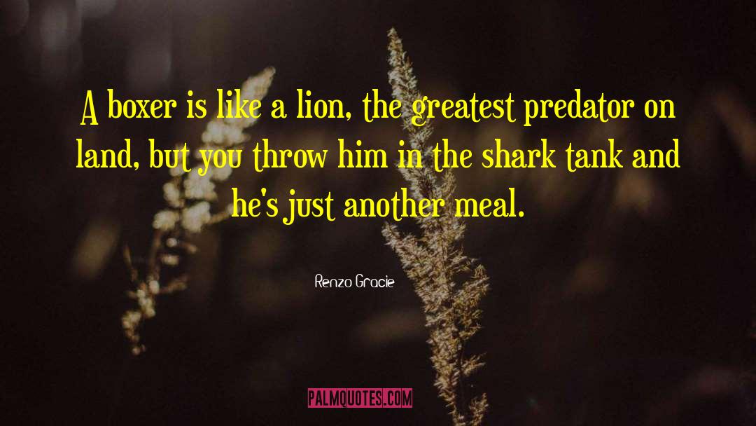 Renzo Gracie Quotes: A boxer is like a