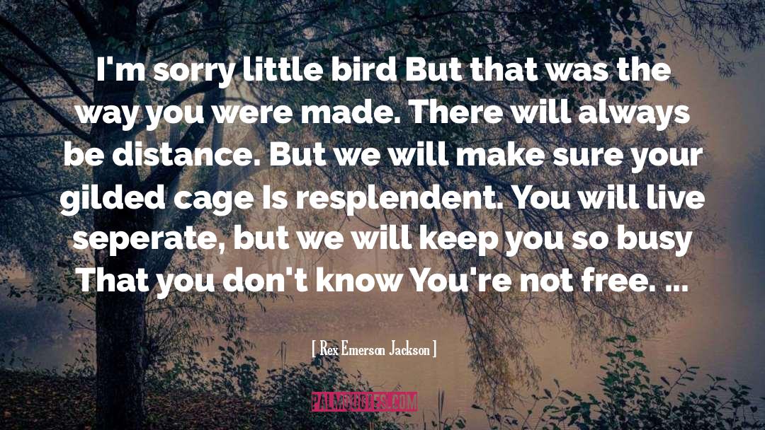 Rex Emerson Jackson Quotes: I'm sorry little bird But