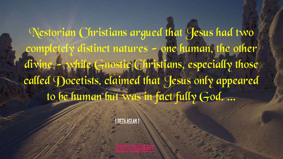 Reza Aslan Quotes: Nestorian Christians argued that Jesus