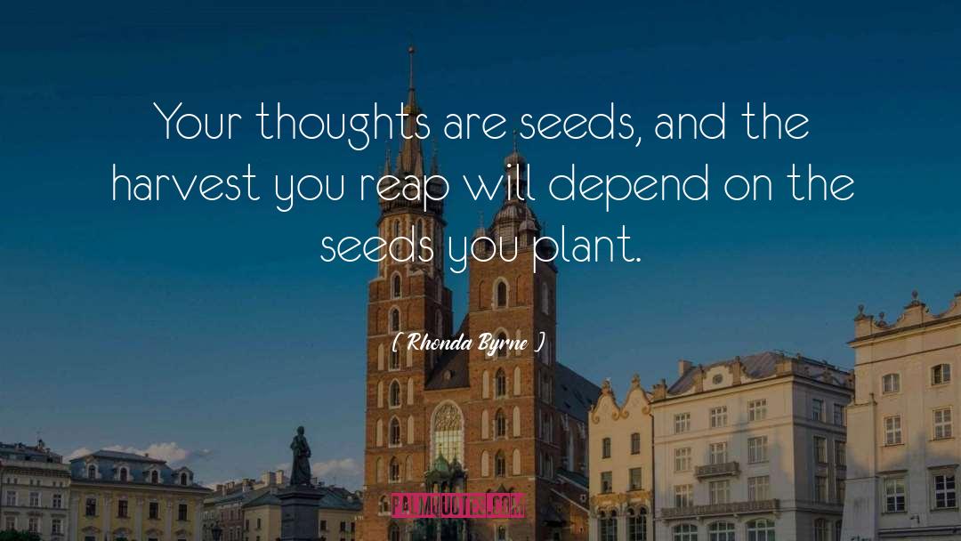 Rhonda Byrne Quotes: Your thoughts are seeds, and