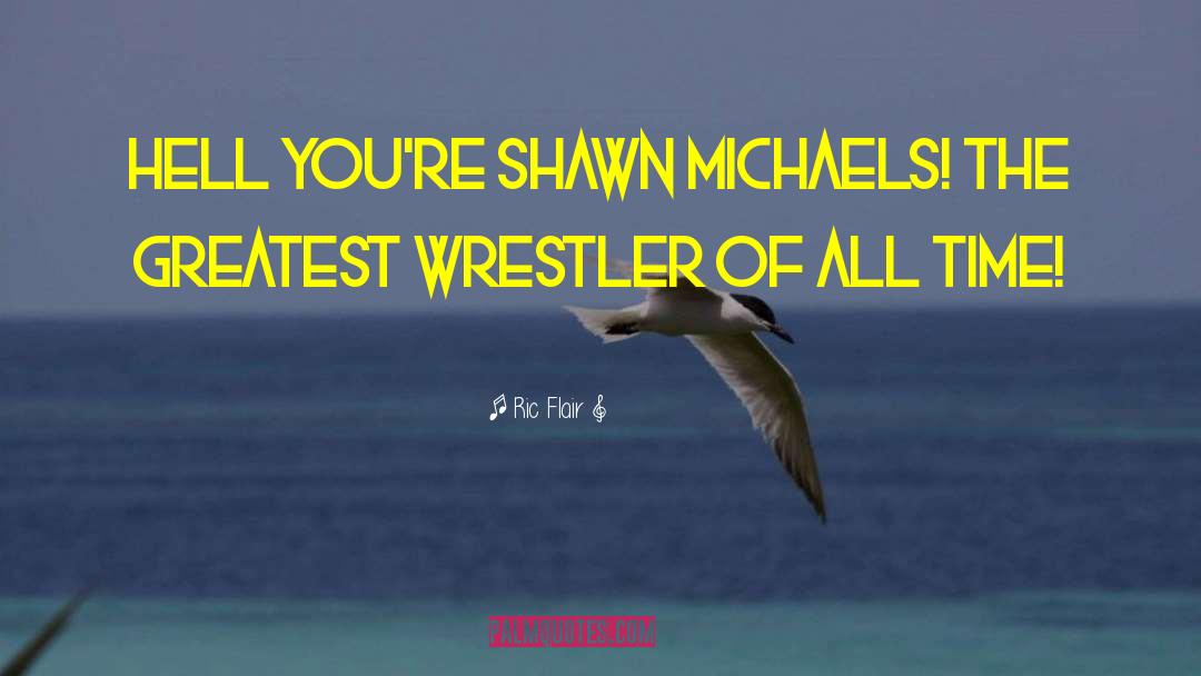 Ric Flair Quotes: Hell you're Shawn Michaels! The