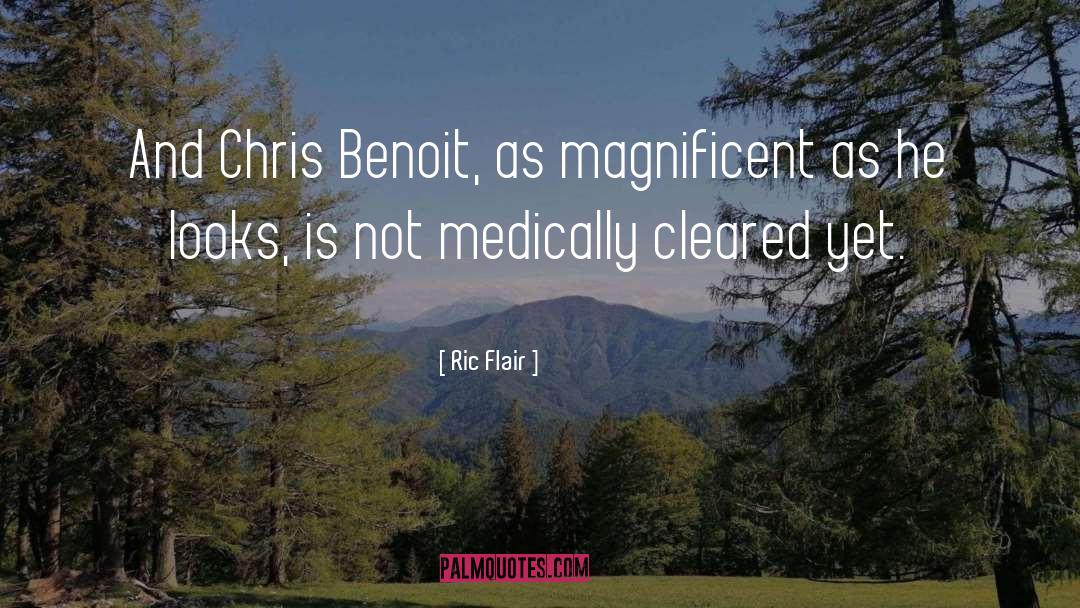 Ric Flair Quotes: And Chris Benoit, as magnificent