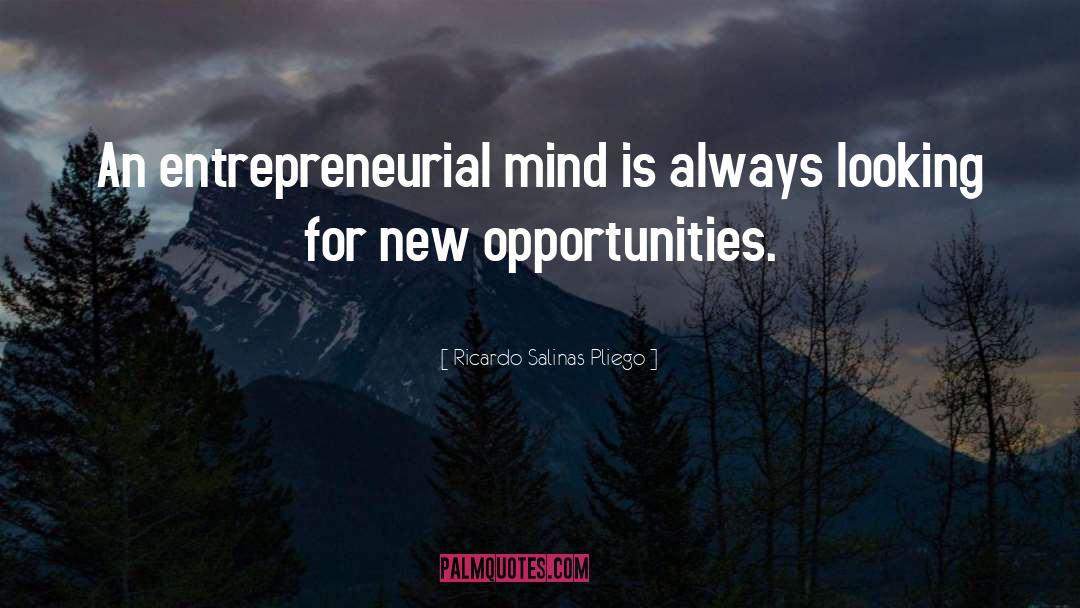 Ricardo Salinas Pliego Quotes: An entrepreneurial mind is always