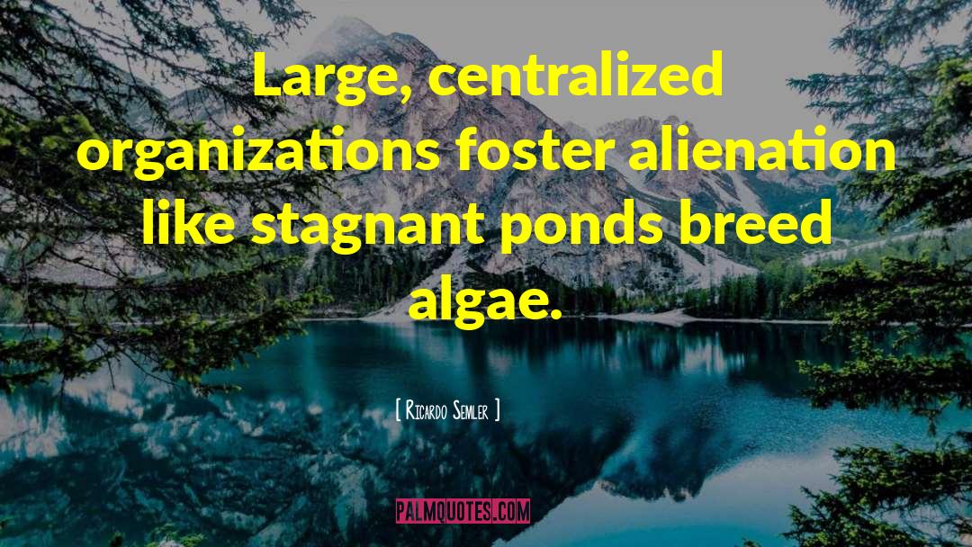 Ricardo Semler Quotes: Large, centralized organizations foster alienation